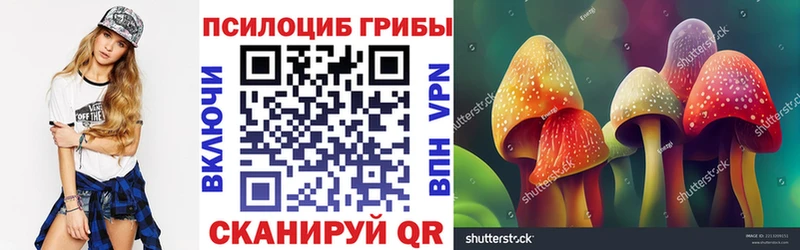 маркетплейс какой сайт  Макарьев  Галлюциногенные грибы GOLDEN TEACHER 